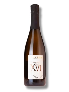 Damien Pinon Cremant Chapitre XVI Brut Nature