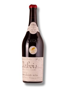 Domaine Lucien Aviet & Fils Marne Rouge Cuvee des Geologues 2020
