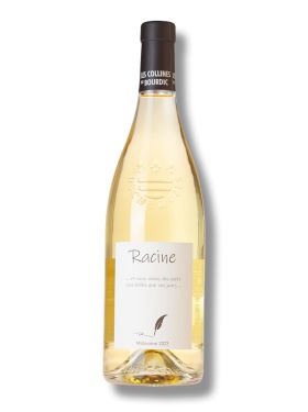 Bourdic Racine Blanc 2023