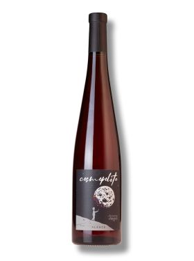 Les Freres Engel Cosmopolite 2022 - bio