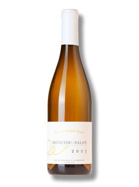 Domaine Philippe Gilbert blanc 2023 -bio-