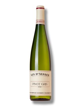 Hebinger Pinot Gris 2022 -bio-