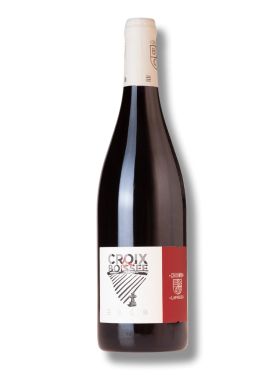 Domaine Beatrice et Pascal Lambert La Croix Boissée 2020 -bio-