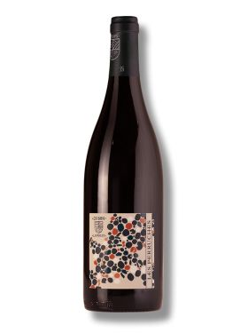 Domaine Beatrice et Pascal Lambert Les Perruches 2018 -bio-