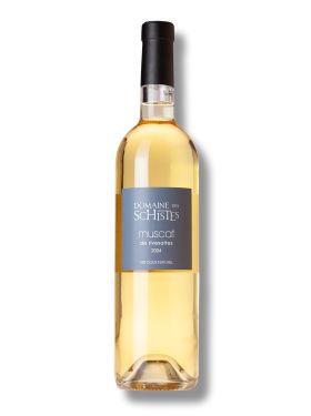 Domaine des Schistes Muscat 2024 -bio-