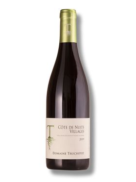 Domaine Truchetet Côte de Nuits Villages 2019