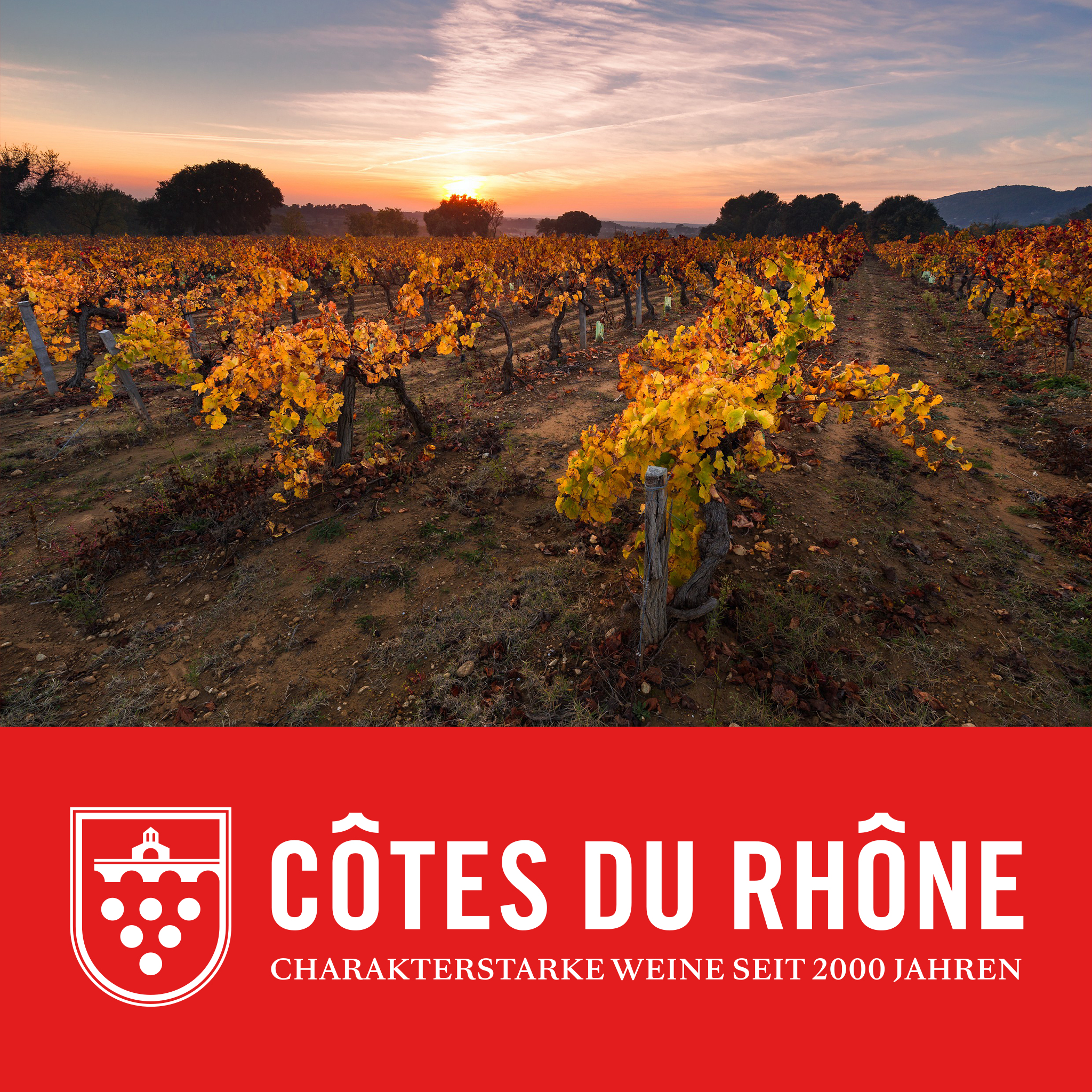 Rhône Wine Festval